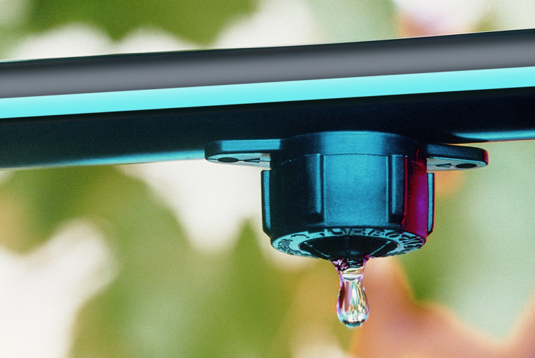 Orchard Drip Irrigation System Malaysia Healthy Orchard