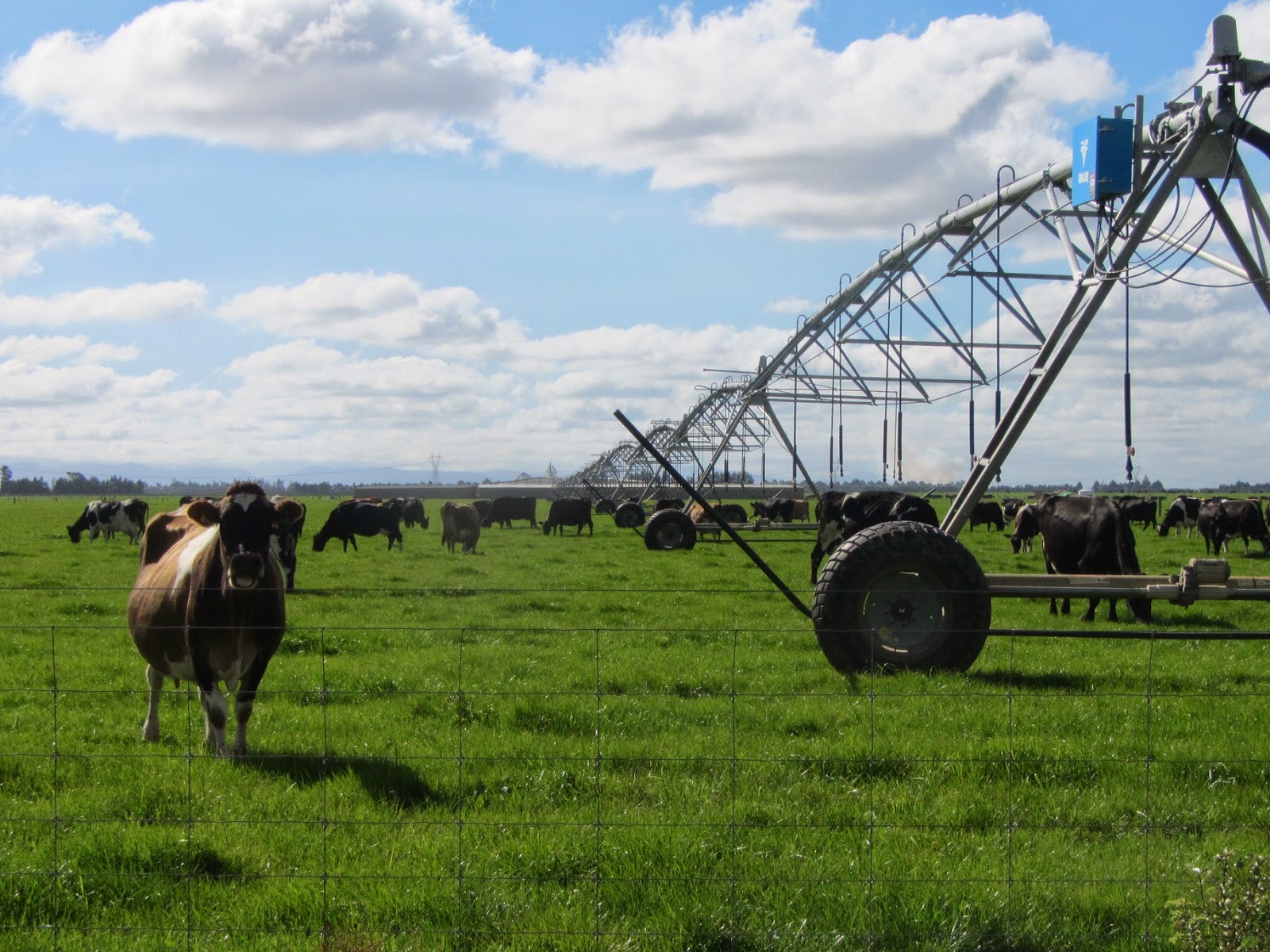 Farm Irrigation System Malaysia Irrigate Your Farms Now!