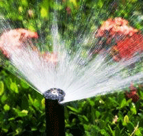 Garden Sprinkler System