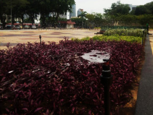 Landscape Sprinkler System