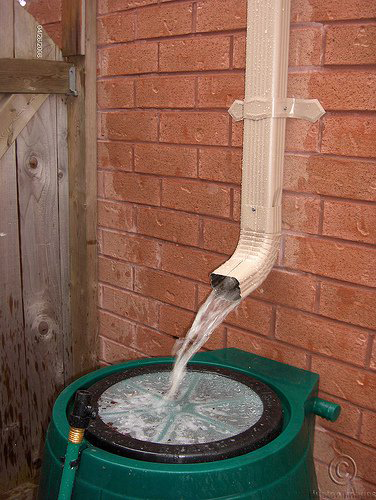 Commercial Rainwater Harvesting System